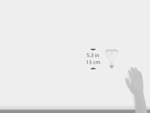 GE Sun Filled LED Light Bulbs, 65 Watt Eqv, Soft White, BR30 Indoor Floodlight (Pack of 2)