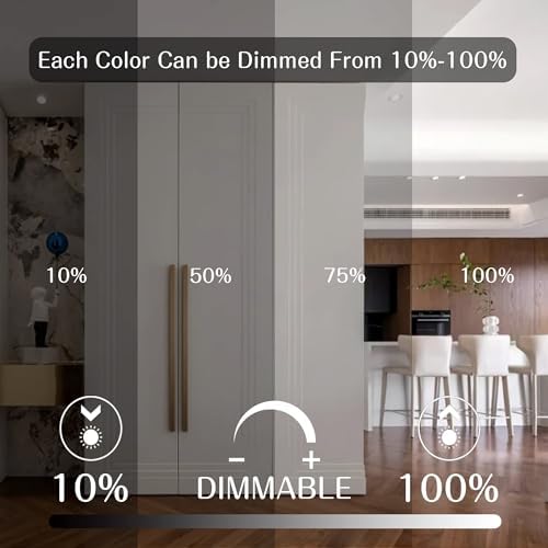 LED Color Changing Light Bulb with Remote Control, 60W Equivalent RGB Bulbs, 8W Dimmable E26 A19 2700K-6000K Warm White Indoor/Outdoor Colored Light Bulbs for Bedroom, Living Room, 4-Pack