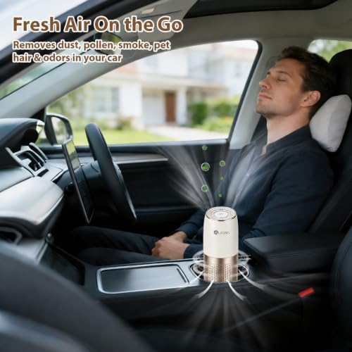 Aucleia Portable Car Air Purifier with H13 HEPA Filter, Smoke Odor Removal