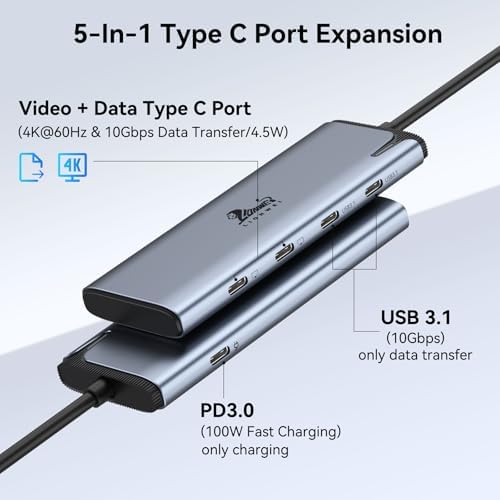 LIONWEI USB C Splitter Dual Monitors for MacBook Pro, 2USB-C Video Output 4K@60Hz, 10Gbps Data Transfer, 100W PD Charging, Dual Monitor Adapter Dongle for USB C Monitor, Windows, MacBook Pro/Air