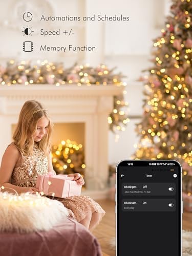 BrizLabs Smart RGB Fairy Lights 100 LED, USB-C Powered & App/Voice Control