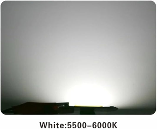 Pack of 10, LED COB Chip Lamp AC110V 10W/20W/30W/50W Smart IC No Need Driver DIY Flood Light Outdoor Chip Lamp Household Bulbs(Cold White,20W)