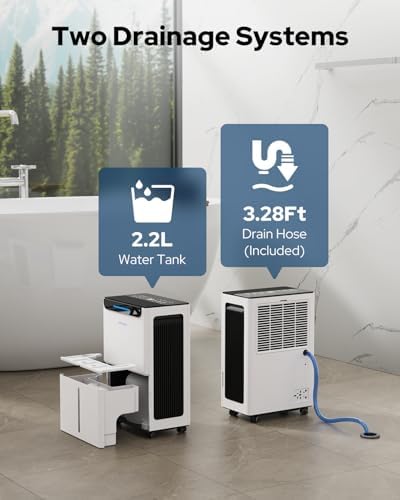 1600 Sq.Ft Compressor Dehumidifier for Basement, Max 21 Pint/Day