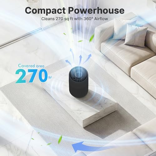 Air Purifiers for Bedroom, Dorm Room, True HEPA Filter for Smoke, Graphite