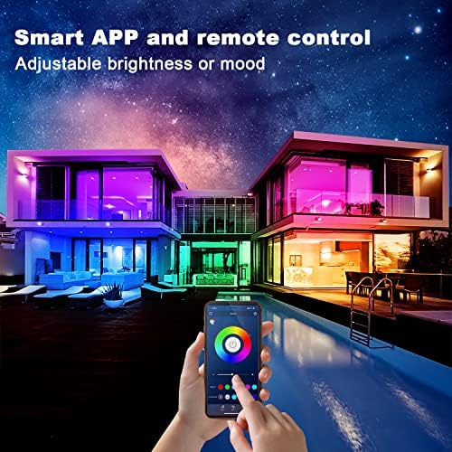 dalattin Led Strip Lights 200ft (2 Rolls of 100ft), Led Lights for Bedroom with App & Remote Control, 24V Led Lights Strip for Room & Festival Decoration