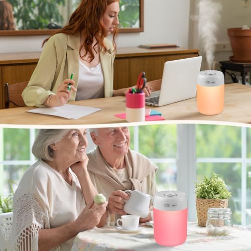 Plant Humidifier Indoor, 650ml Humidifier for Plants, Gray