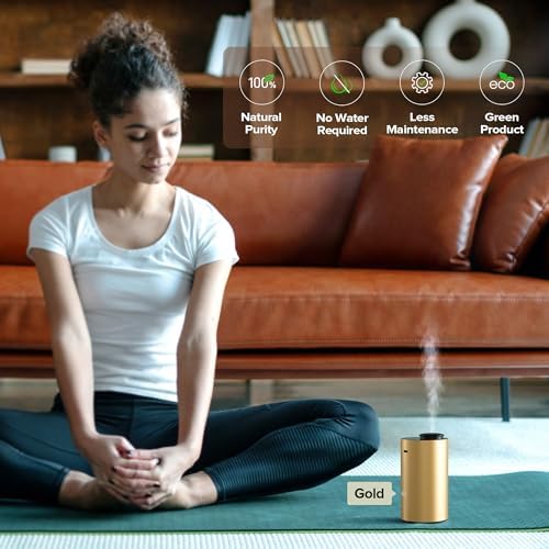 Airversa ANX Waterless Diffuser for Essential Oil for Home, Room, Silver