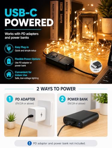 BrizLabs Smart RGB Fairy Lights 100 LED, USB-C Powered & App/Voice Control