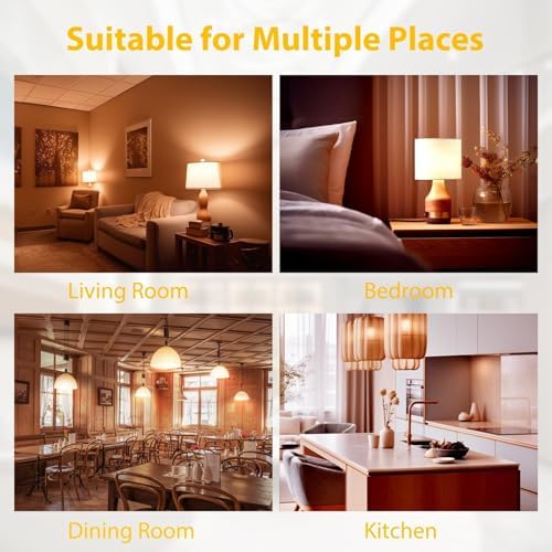 dalattin 24 Pack A19 LED Bulbs,9W Equivalent 60 Watts,E26 Base, Warm White 3000K,800 LM,Non-Dimmable,Efficient Energy Saving Lights for Living Room,Office,80+ CRI,120V, UL Listed