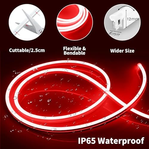 iNextStation Red LED Light Strip 16.4FT Neon Rope Lights (with DC12V Plug)