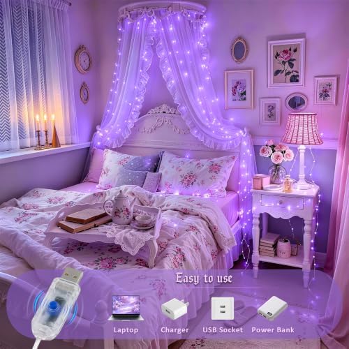 JMEXSUSS USB 100 LED Purple Fairy Lights Plug in
