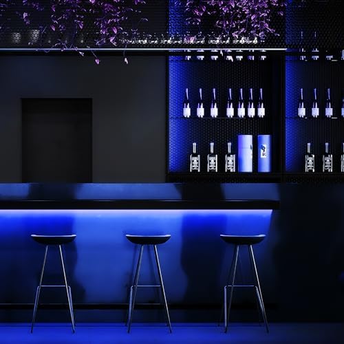iNextStation 16.4FT 12V LED Strip Light Blue Neon LED Rope Lights (No Plug)