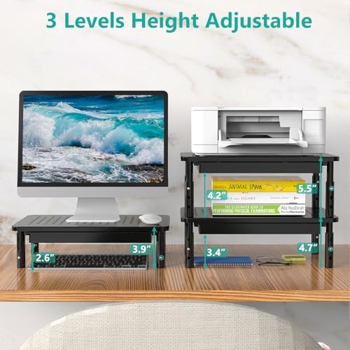 WALI Computer Monitor Stand with Storage