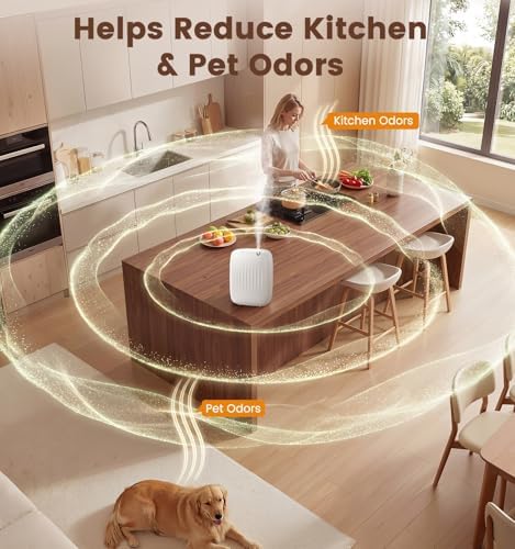 Ziweo Waterless Essential Oil Diffuser 2 x 100mL Hotel Scent Oil, 3000sq.ft