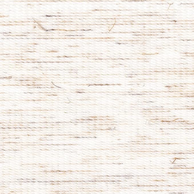 Light Filtering Motorized Zebra/Roller Shades – LightFiltering-Scapes B1 Series Smart Remote Control Window Blinds