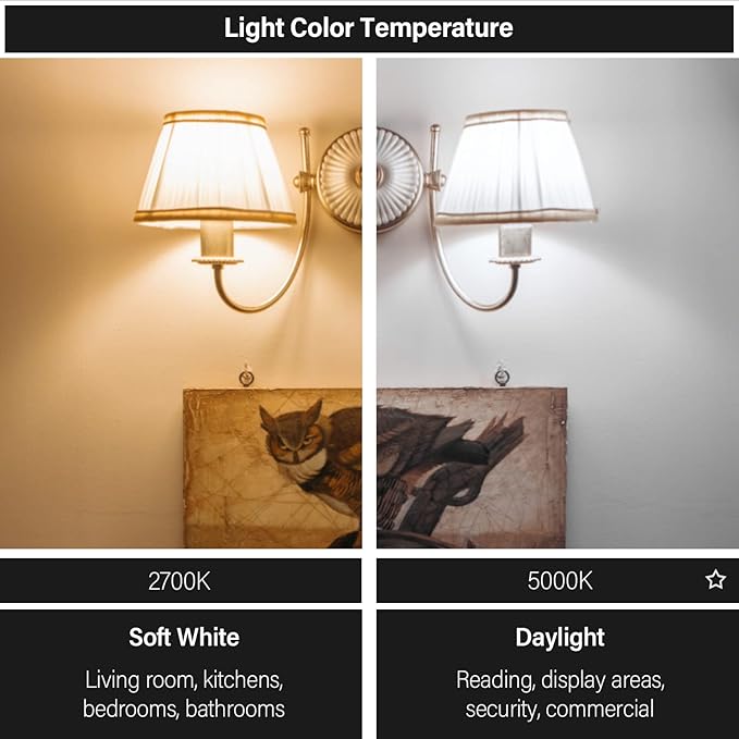 Maelsrlg R14 LED Bulb 4W(40W Equivalent) Mini Reflector Flood Light Bulbs 5000K Daylight, Curio Cabinet Light Bulb, Non-Dimmable, E26 Base Short Light Bulbs, 4-Pack