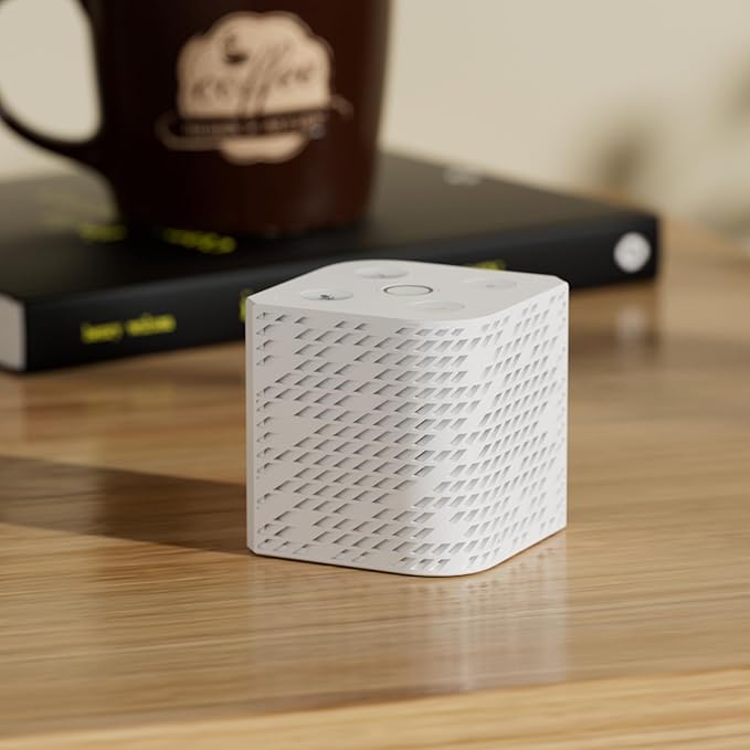 Third Reality Voice/Music Assistant Dev Edition – Preloaded with Home Assistant Voice Assistant and Music Assistant, Dual Digital Mics, 3W Speaker, 2.4G WiFi only, Open Source