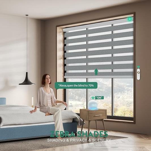 Motorized Zebra Blinds with Remote, Work with HomeKit Alexa Automatic Electric Window Shades 95% Blackout Light Filtering for Smart Home and Office, Customized Size Modern Silver