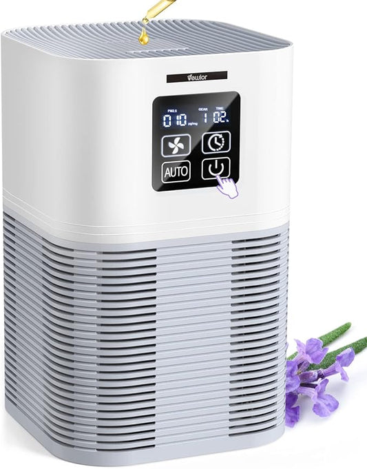 Air Purifier, Home Air Cleaner For Bedroom Large Room up to 600 sq.ft, VEWIOR H13 True HEPA Air Filter for Pets Dander Odor Dust Smoke Pollen (A1+ 2 Pack Filters)…