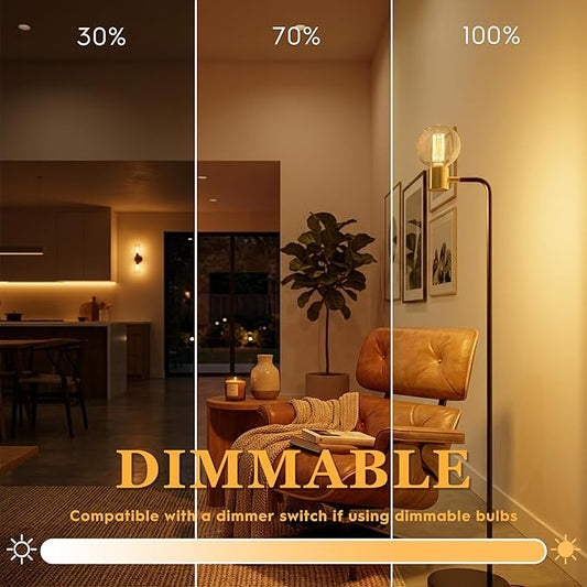Globe Edison LED Light Bulb, Vintage Decorative Dimmable Bulb Round Glass Cover, 3.5W Low Lumen Eye-Caring Soft Dim Lighting for Mood(Not Daylight White), E26 Medium Base, Clear RN G95