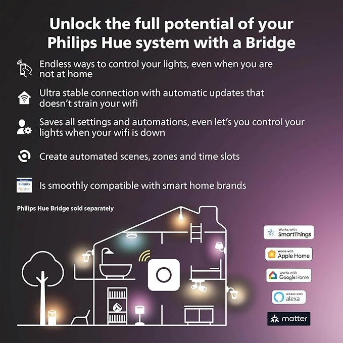 Philips Hue Secure Camera Anti-Drop Cable, Silver - 1 Pack - Made for Outdoor Use - Attaches to Philips Hue Low-Volt Power Supply Unit