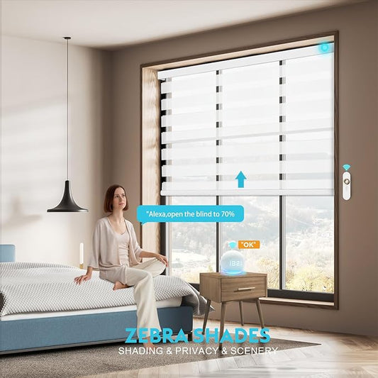 Motorized Zebra Blinds with Remote Smart Blind Work with Homekit Alexa SmartThings Electric Day and Night Shade Cordless Automatic Solar Powered Window Shade Customize(White)