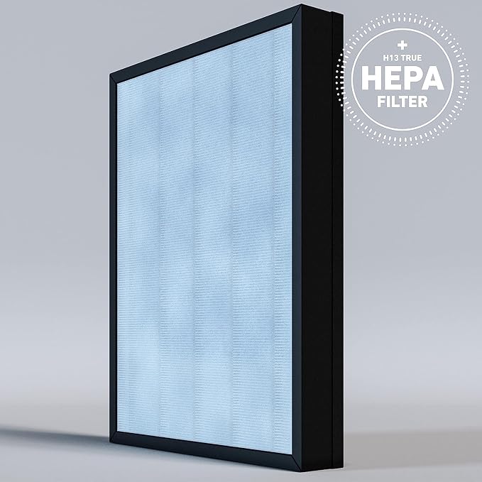 HATHASPACE HSP002 H13 HEPA Filter Replacement