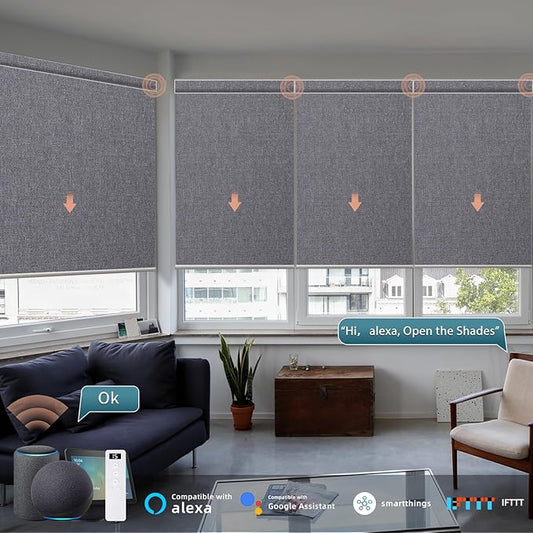 Motorized Roller Shade: Blackout, Electric Blinds, Compatible with Alexa/Google Home/Apple Homekit, Customized Size, Noir Anchor Grey