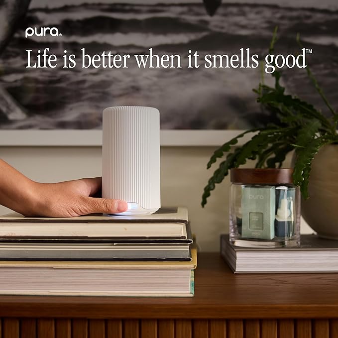 Pura Smart Home Scent Refill - Long-Lasting Premium Fragrance per Refill - Clean Diffuser Fragrance for Home, Office & Apartment - 2 Pack, Simmer Pot
