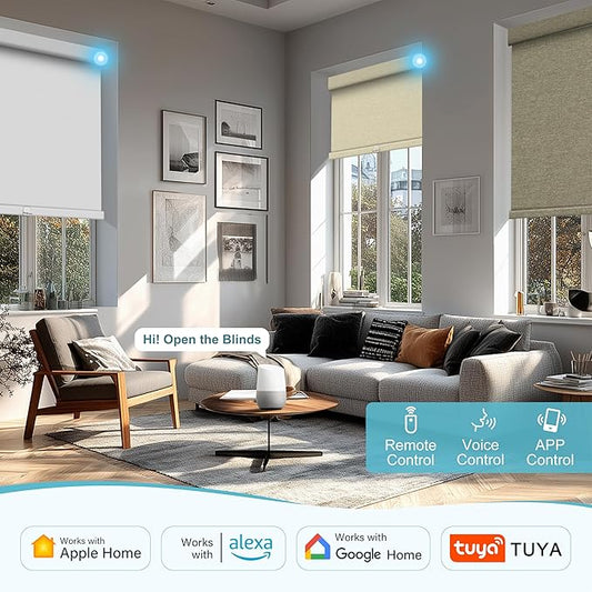 BERISSA NO Drill Smart Motorized Blinds with Remote,APP/Voice Control Automatic Roller Shades for Indoor Windows,Blackout&Light Filtering Rechargeable Electric Blinds for Home,Office,Custom Size