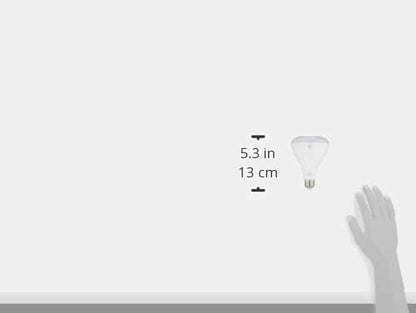 GE Sun Filled LED Light Bulbs, 65 Watt Eqv, Soft White, BR30 Indoor Floodlight (Pack of 2)