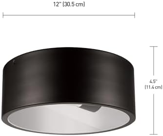 GLOBE Electric 44479 Teagan 1-Light Outdoor Indoor Flush Mount Ceiling Light, Dark Bronze, Clear Glass Shade, Bulb Not Included (Pack of 2)