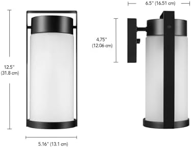 Globe Electric 60000165 1-Light Outdoor Wall Sconce, Matte Black, Frosted Glass