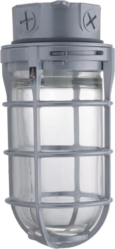 Lithonia Lighting Jelly Jar Light Fixture, Incandescent Utility Vapor Tight Ceiling Lamp, Industrial Style Wall Light for Indoor and Outdoor Use, 150W, 120V, Includes Junction Box, Grey (VC150I M12)