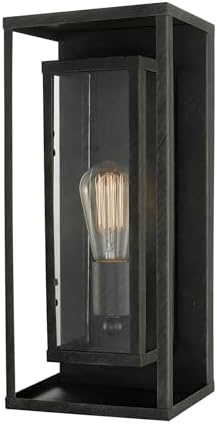 Globe Electric 44228 Montague 1-Light Outdoor Wall Sconce, Bronze, Clear Glass Shade,44228
