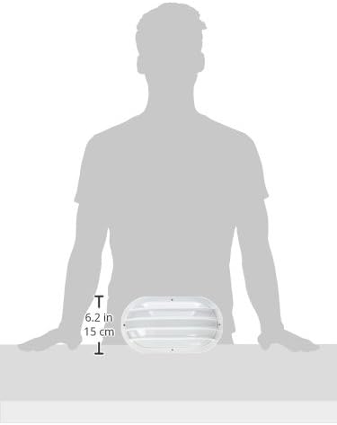 Nuvo Lighting 77/858 Bulkhead 1-Light Oval Cage 60W A19, White