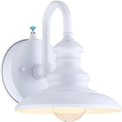 LONEDRUID Dusk to Dawn Sensor Outdoor Gooseneck Barn Light Fixture White