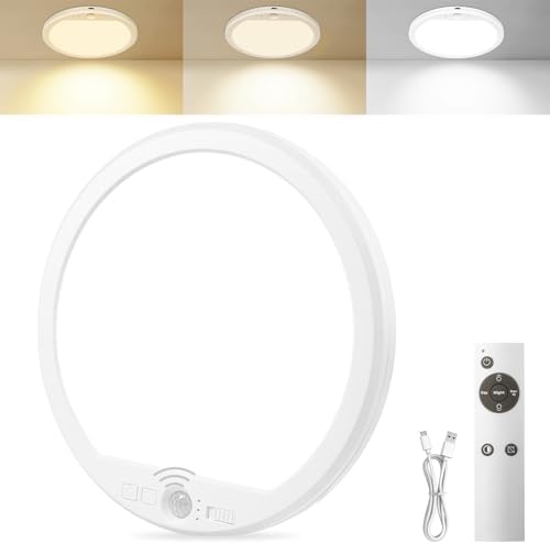 OSIDEN Rechargeable Motion Sensor Ceiling Light with Remote
