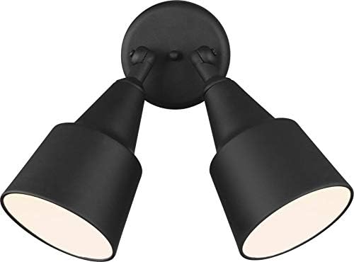 Generation Lighting 2-Light 12.5-Inch Adjustable Flood Light in Black