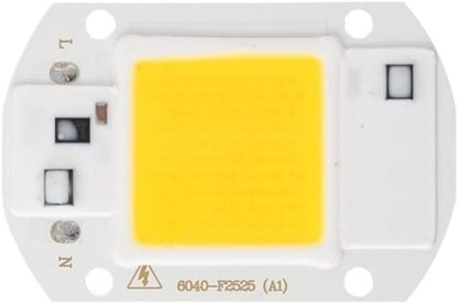 Fengyan Landscape lights LED COB Lamp Chip 10W 20W 30W 40W 50W AC 220V Smart IC LED Beads DIY For LED Floodlight Spotlight Cold White Warm White LED Street Lamp ( Color : Cold White , Size : 20W )