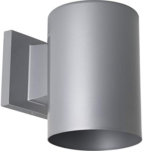 Progress Lighting Cylinder Outdoor Wall Light, Metallic Gray