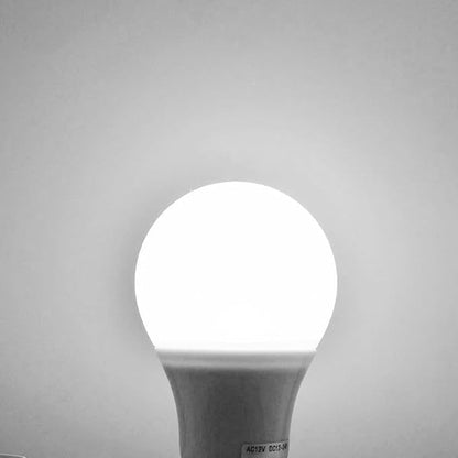 E26 12V Led Bulb 4W Cool White 6000K AC 12V/ DC 12-24V Low Voltage for Rv Camper Bulbs Off-Grid Solar Battery Systems Edison 40W Equivalent (2 Pack)