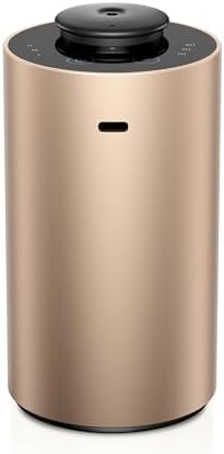 Airversa ANX Waterless Diffuser for Essential Oil for Home, Room, Titanium