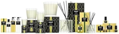 NEST New York Smart Home Fragrance Diffuser Refill Smart Vials, Grapefruit - 4 Diffuser Refill Smart Vials, Set of 2 - Designed for NEST x Pura 3 and NEST x Pura 4 Diffusers - Cruelty Free, Vegan