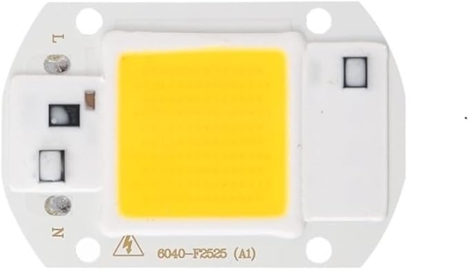Fengyan Home Bulbs, Pack of 6, LED COB Chip Lamp AC110V Smart IC No Need Driver Led Floodlight 10W/20W/30W/50W/70W/100W/150W DIY Chip Lighting(Warm White,Short chip 20W)