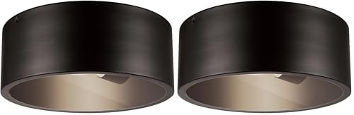 GLOBE Electric 44479 Teagan 1-Light Outdoor Indoor Flush Mount Ceiling Light, Dark Bronze, Clear Glass Shade, Bulb Not Included (Pack of 2)
