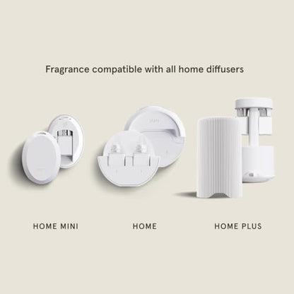 Pura x Studio McGee Home Diffuser Refill, 2 Pack, Winter Bayberry