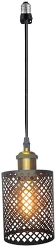 Screw in Hanging Light Fixture Instant Pendant Light,Recessed Light Conversion Kit with E26 Screw-in Adapter for Bedroom,Living Room & Kitchen Island Lighting (Farmhouse)