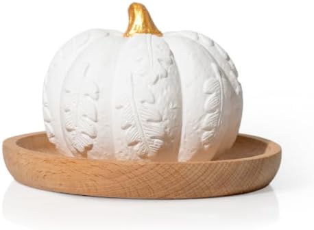 Plant Therapy Pumpkin Passive Fall Diffuser for Essential Oils
