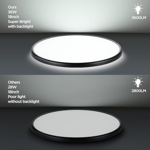 TALOYA 2 Pack 18" Dimmable Flush Mount Ceiling Light Fixture,5CCT,Black